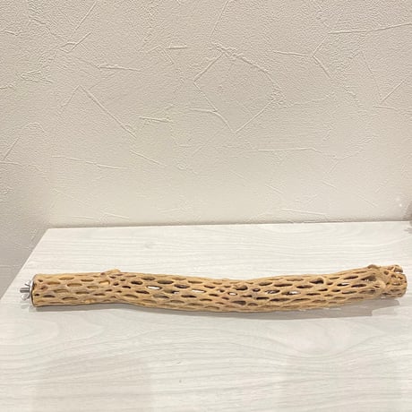 カクタスパーチ①  極小 直径約3cm 長さ34cm
