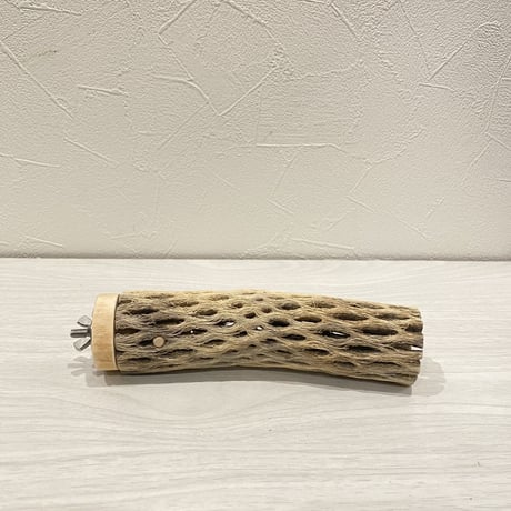 カクタスパーチ【19】 小直径3.5cm/15cm