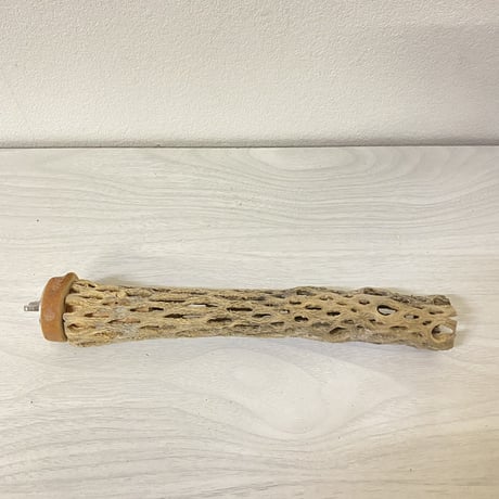 カクタスパーチ⑯ 極小サイズ 直径（約2-3cm）長さ/21.5cm