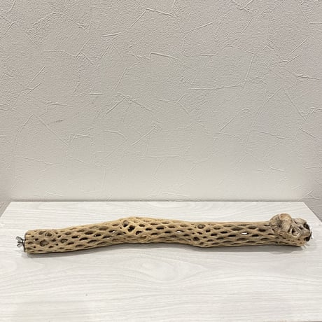 ケージサイズカクタスパーチ  小サイズ③（直径3-4cm）HOEI465