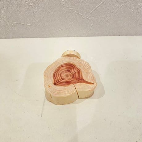 貝塚伊吹テーブルパーチ