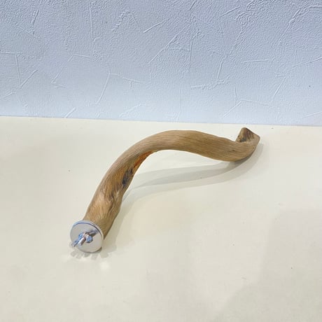 自然木（ツタ皮無し）パーチ 直径1.5~3cm/長さ25cm