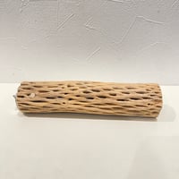 カクタスパーチ⑫ 直径約5cm/長さ20cm