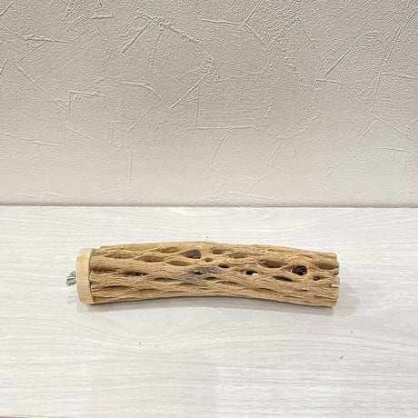 カクタスパーチ㉒中4.5~5.5cm長さ20㎝