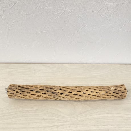 ケージサイズカクタスパーチ 小34cm HOEI手乗り35