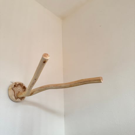 桧のピノキオの鼻②