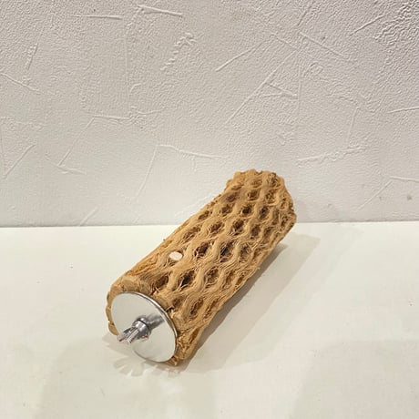 カクタスパーチ⑭ 直径約5cm/長さ14.5cm
