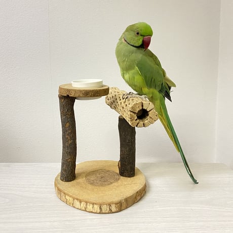 おやつ入れ付き カクタススタンドパーチ② 中型さん用
