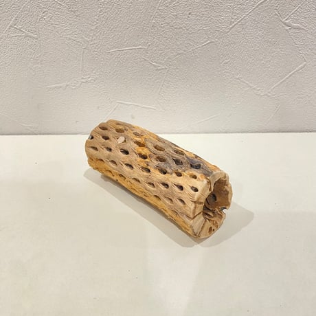 カクタスパーチ(C) 直径約4.5cm/長さ11cm