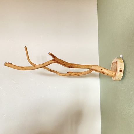 ピノキオの鼻⑤