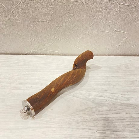 自然木（ツタ）パーチ① 直径約2.5cm/長さ19cm
