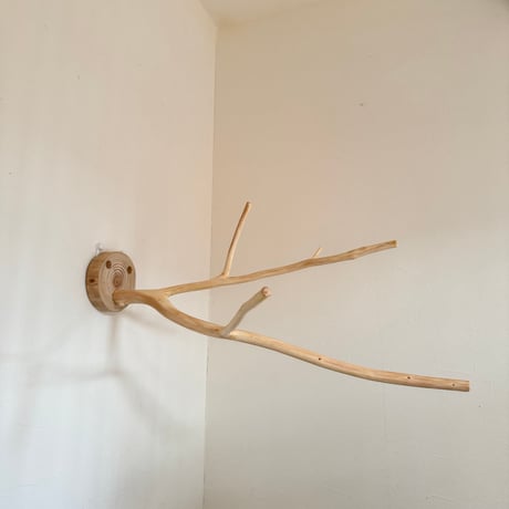 桧のピノキオの鼻④