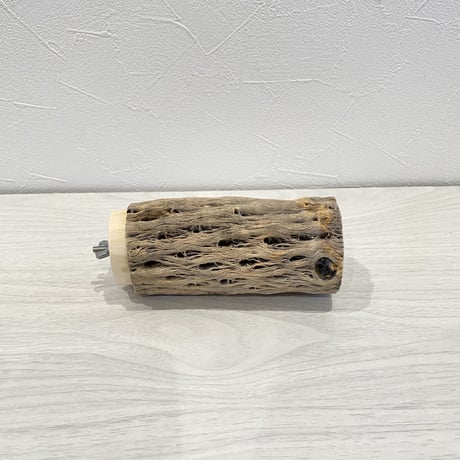 カクタスパーチ⑧ 中直径5.5cm 長さ12.5cm