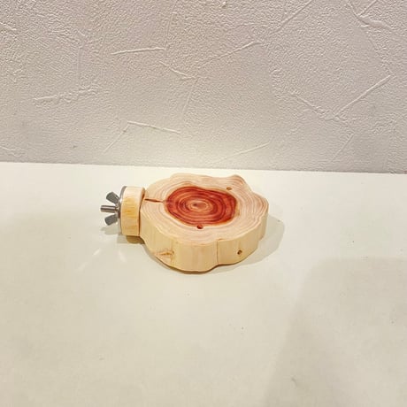 貝塚伊吹テーブルパーチ【1】