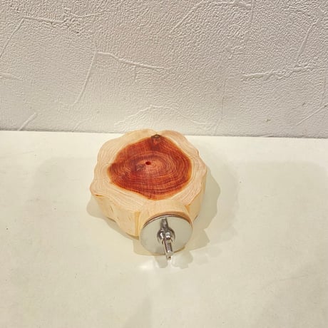 貝塚伊吹テーブルパーチ  ②