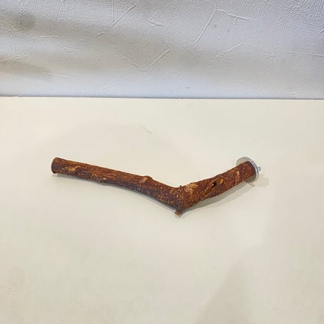 自然木（ツタ）パーチ 直径1.5~1.8cm/長さ20cm
