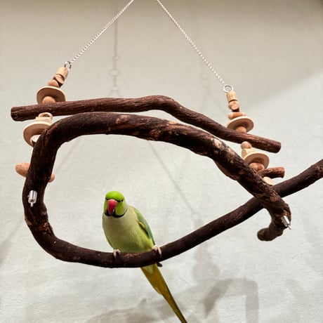 パーツ取り替え式　ハイジのブランコ【インコのおもちゃ・自然木のとまり木】