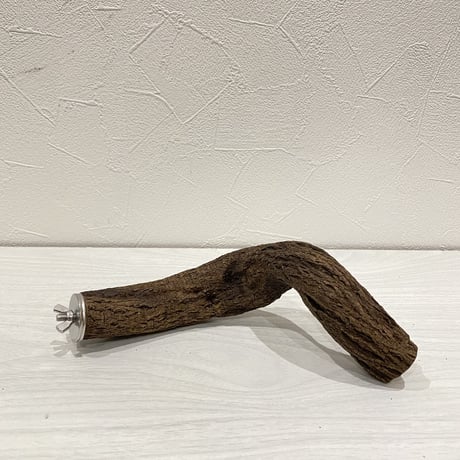 自然木（ツタ）パーチ⑩ 直径3.5cm 長さ19.5cm