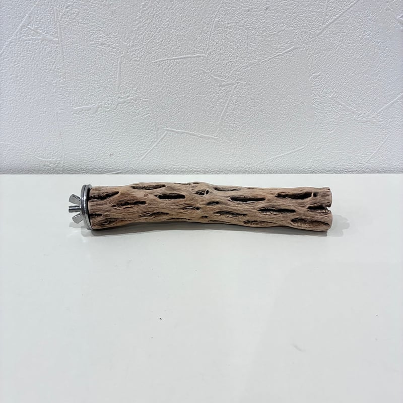 R　止まり木　カクタス　スケルトン　パーチおまとめ5本 カクタスパーチ極小サイズ⑨ 直径約2.5cm/長さ15cm【自然木 止まり木