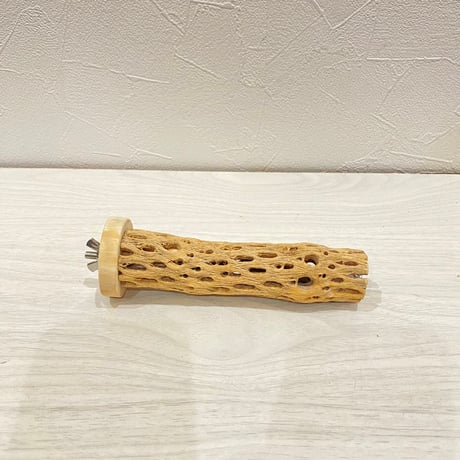 カクタスパーチ極小2-3㎝長さ14㎝ ③