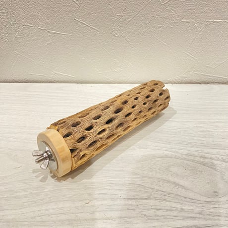 カクタスパーチ【17】直径4~5cm/長さ15cm