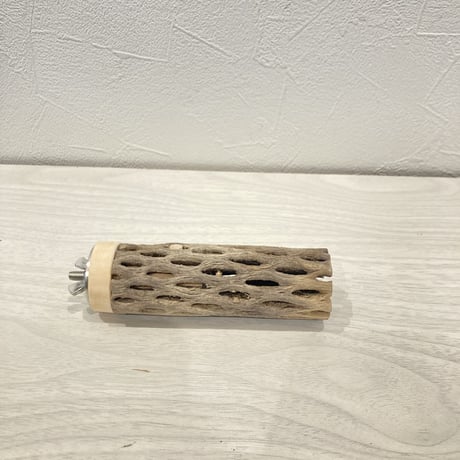 カクタスパーチ小⑧ 直径約3~4cm 長さ10cm