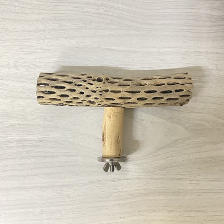カクタスのT字パーチ② HOEI465サイズ
