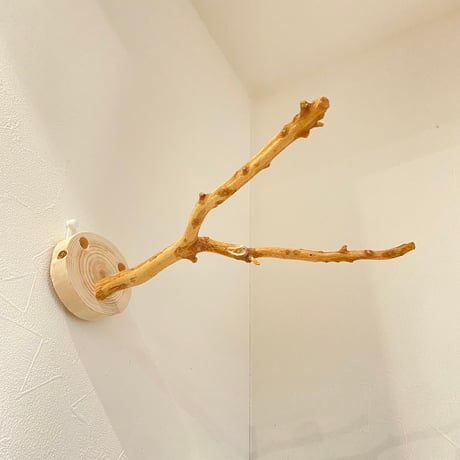 ピノキオの鼻 ①