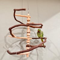 自由にカスタム 壁掛けバードアスレチック【B】【インコのおもちゃ