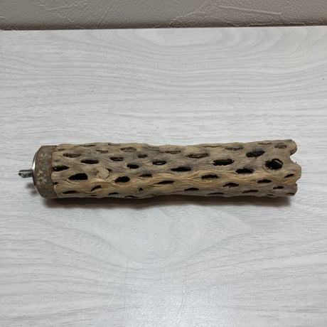 カクタスパーチ④極小2-3㎝長さ15㎝