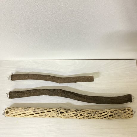 【sizu様専用】カクタスパーチ 極小 直径約3cm 長さ/44cm