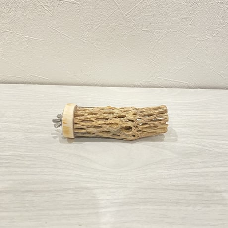 カクタスパーチ【2】 小直径3.5cm/10cm