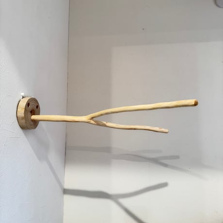 桧のピノキオの鼻④