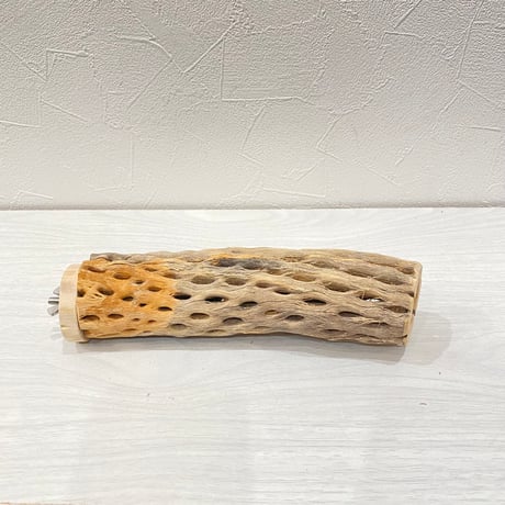 カクタスパーチ㉑中4.5~5.5cm長さ20㎝