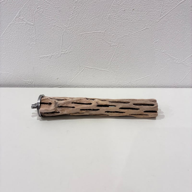 カクタスパーチ極小サイズ② 直径約2.3〜2.5cm/長さ15cm【自然木