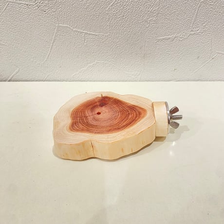 貝塚伊吹テーブルパーチ  ⑤