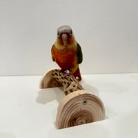 幼鳥・老鳥・介護サポート用　置き型カクタスパーチ② 全長17.5cm/カクタス長さ15cm