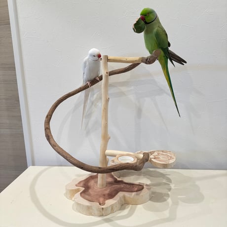 ツタと螺旋階段のぐるりんスタンドパーチ【インコのおもちゃ・バードアスレチック】