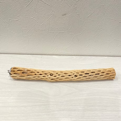 カクタスパーチ極小① 2-3㎝長さ30cm