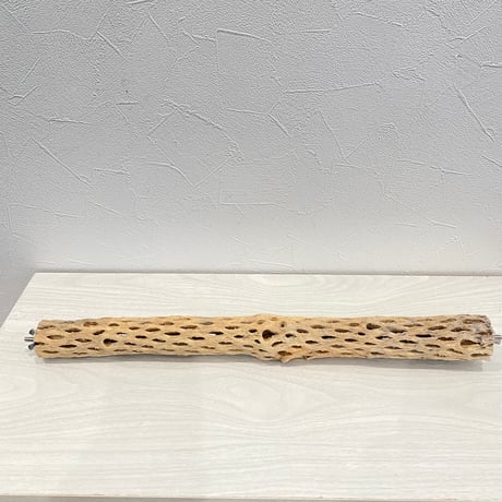 ケージサイズカクタスパーチ小① HOEI465 オカメ