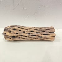 カクタスパーチ【C】直径4~5cm/長さ15cm | 自然木の鳥用品 鳥豆堂
