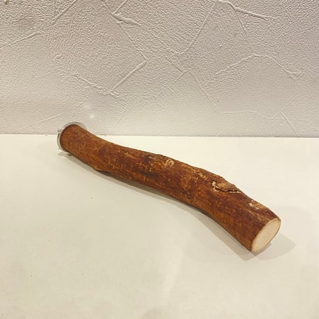 自然木（ツタ）パーチ 直径約2.5cm/長さ19cm