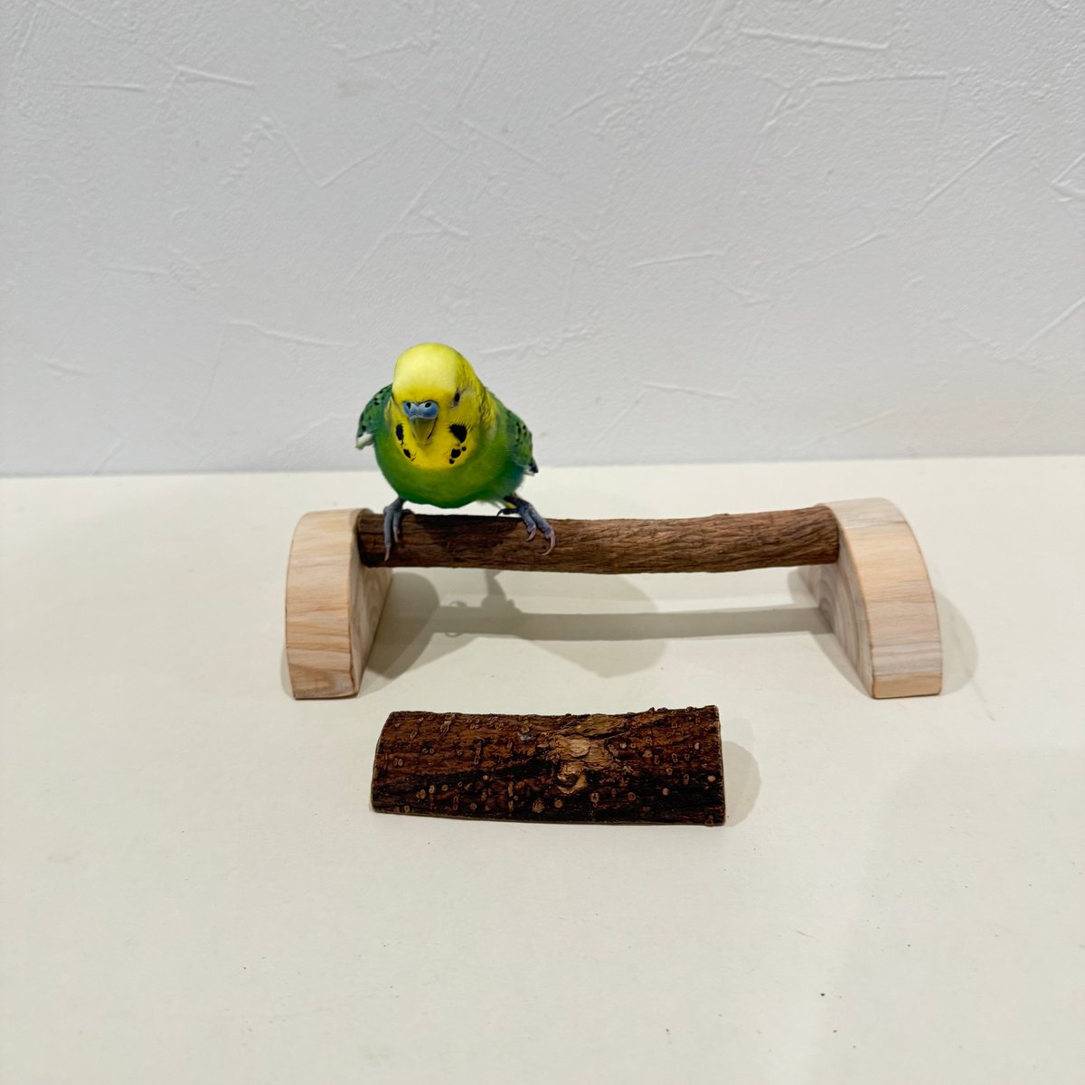 幼鳥・老鳥・介護用 置き型パーチ②【セキセイ・ウロコ・オカメ