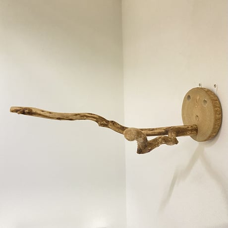 ピノキオの鼻②