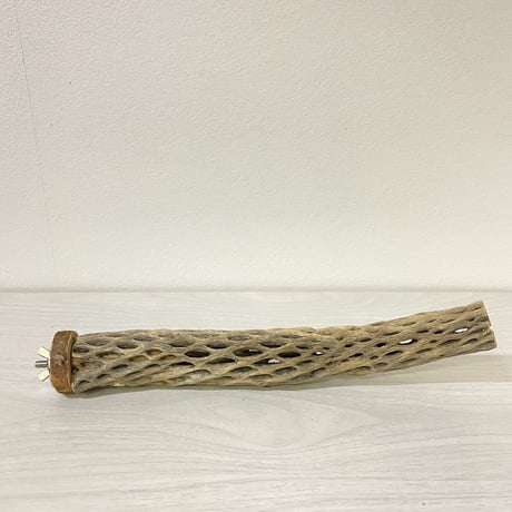 カクタスパーチ⑨ 小サイズ 直径（約3-4cm）長さ/26cm