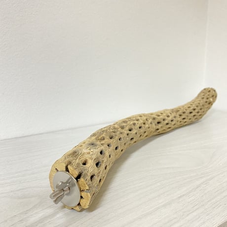 ケージサイズカクタスパーチ②  HOEI465 オカメ