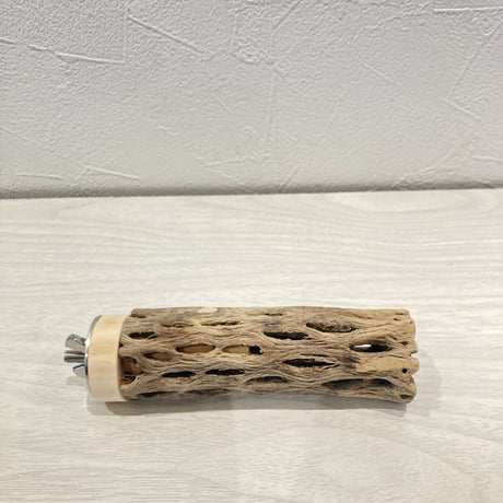 カクタスパーチ極小⑤ 直径約2~3cm 長さ10cm
