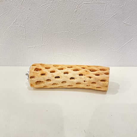 カクタスパーチ⑦ 直径約4.5cm/長さ15cm