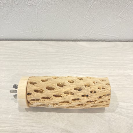 カクタスパーチ③  小　直径4cm前後 長さ10cm