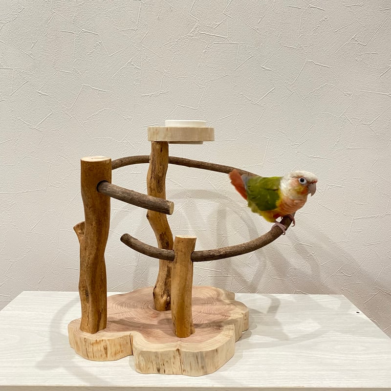 ツタのぐるぐるバードアスレチック②【インコのおもちゃ・自然木